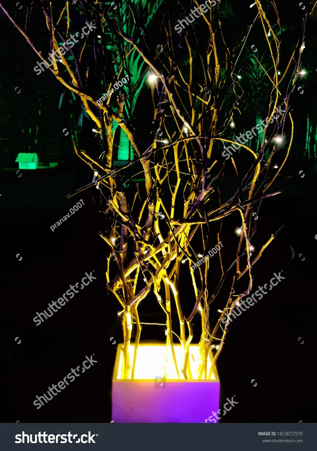 A decorative indoor tree strung with warm fairy lights against a dark room